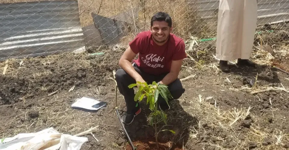 Tree Planting 2020